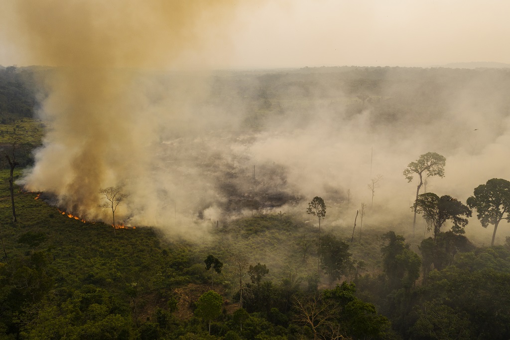 Compromisso ambiental da China com os EUA pode beneficiar mercado de carbono do Brasil