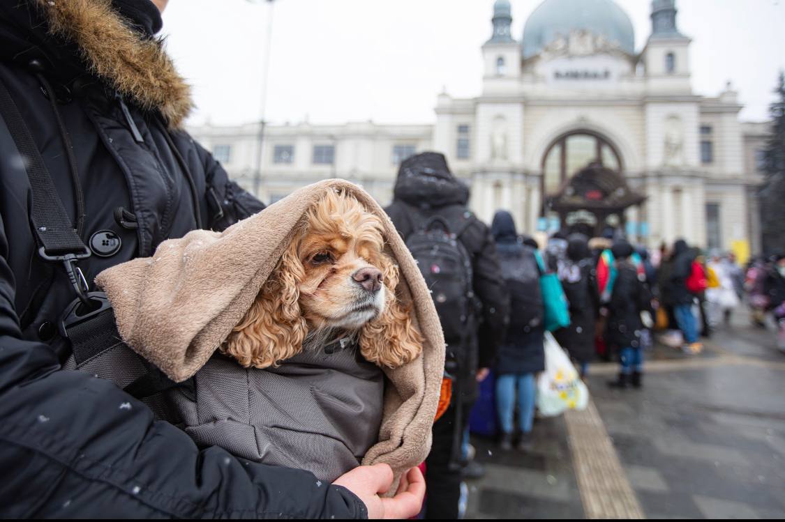 Refugiados enfrentam frio e longas filas para tentar sair do país