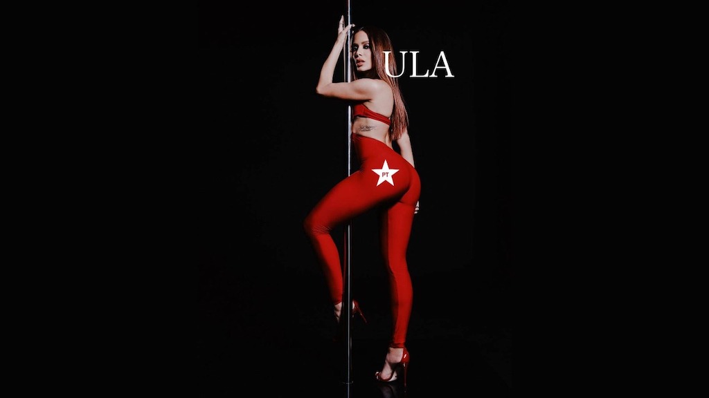 A consultoria da Anitta
