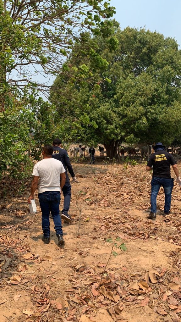 Apoiadores de Lula condenam crime em Mato Grosso