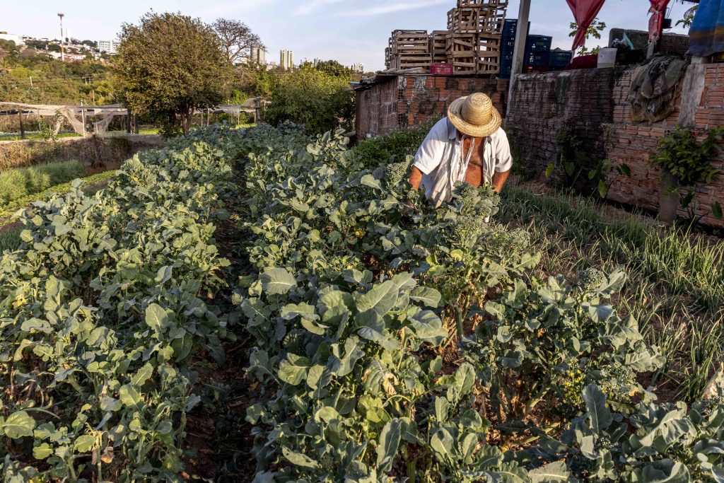 A atual preocupação do agro