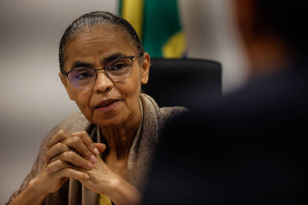 Marina sem respaldo