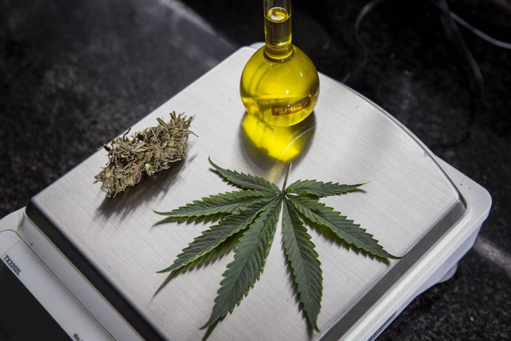 Legalizado na liminar
