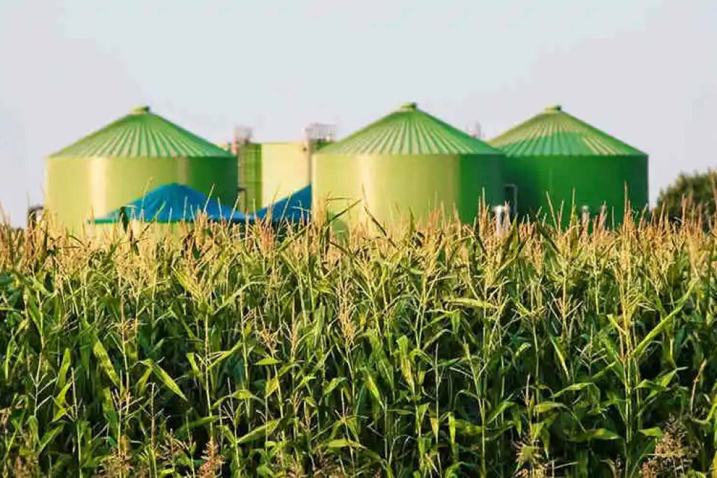 O agro sob nova direção