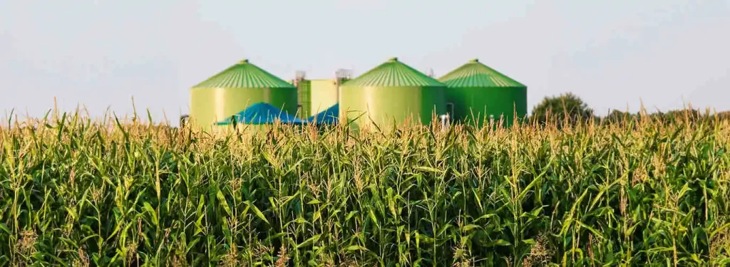 O agro quebrado